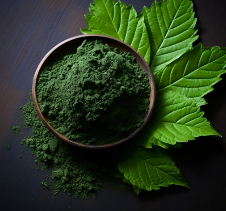 Mulberry Leaf Extract Chlorophyll