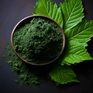 Mulberry Leaf Extract Chlorophyll