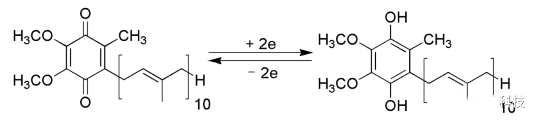 coenzyme Q10 