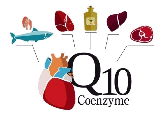 coenzyme Q10 powder